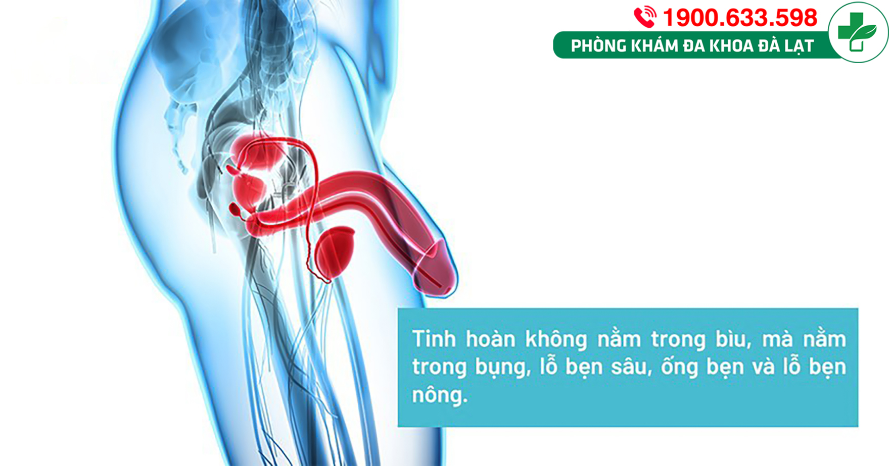 Nổi hạch ở tinh hoàn báo hiệu điều gì?
